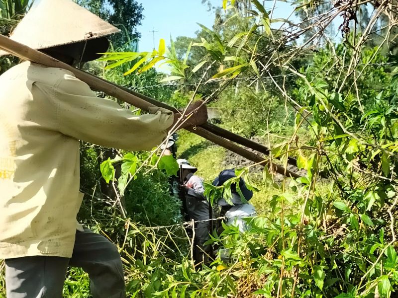 Sản Xuất Nông Nghiệp Xã Tam Thăng