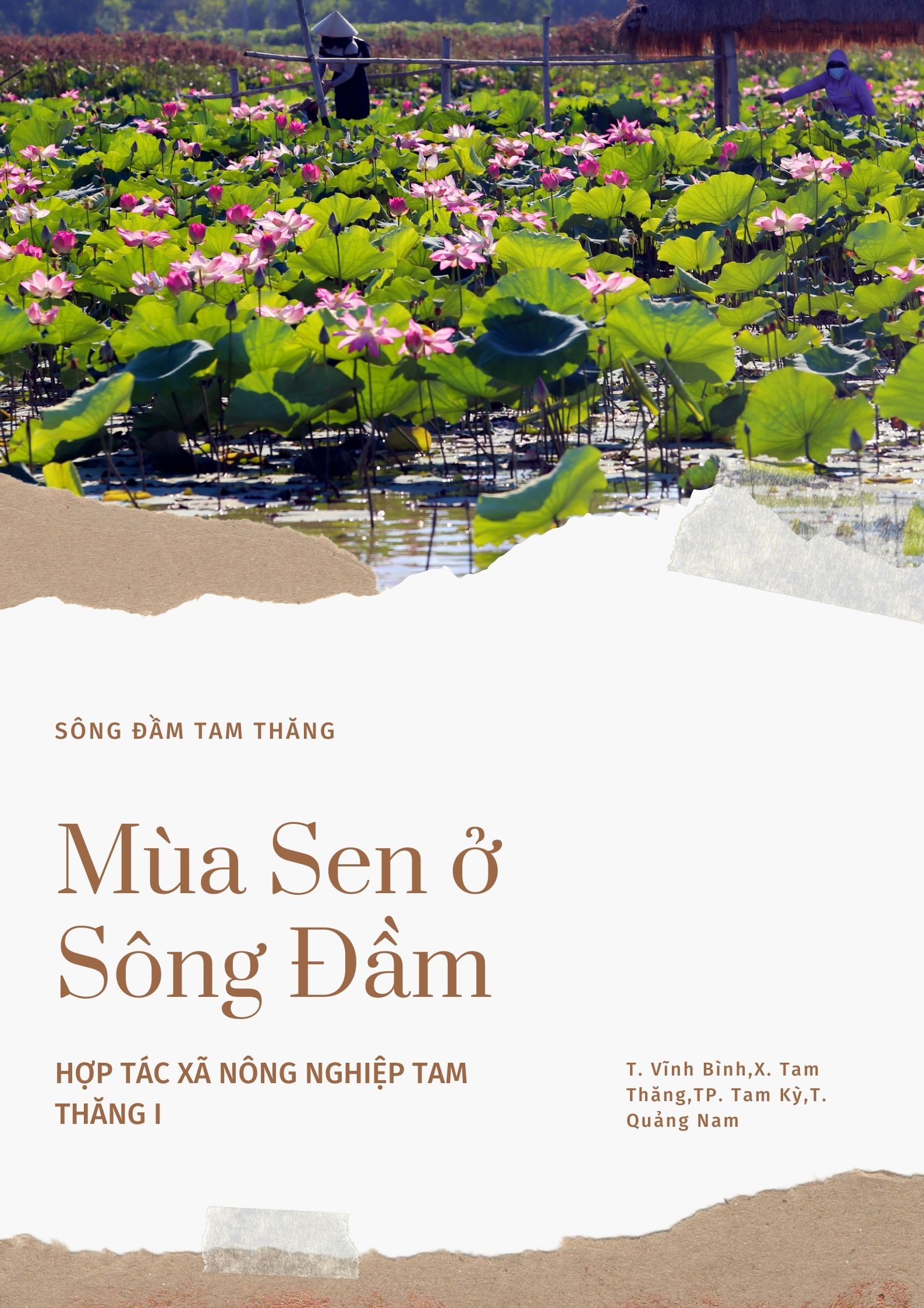 điểm đến đầm sen quảng nam