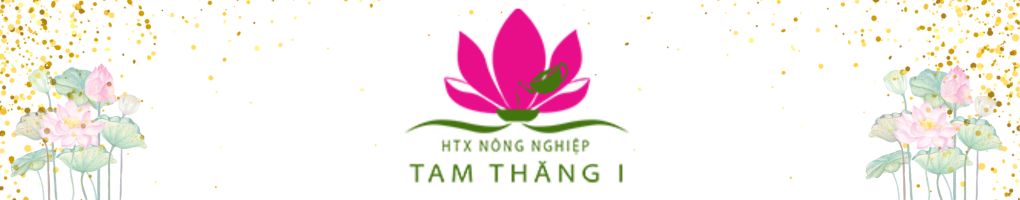 Lời kết bài viết