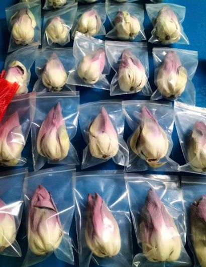 Trà Sen Quảng Nam